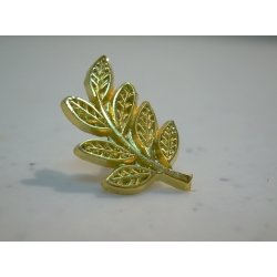 pin-acacia-dorado